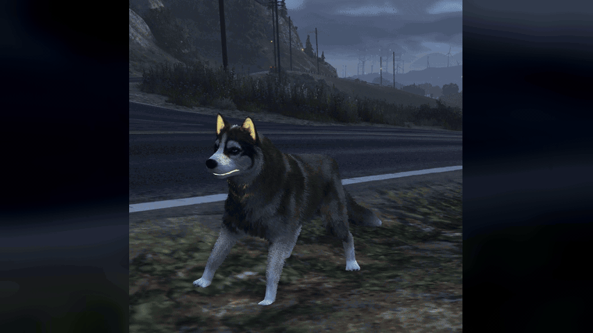 18 Halloween Pets